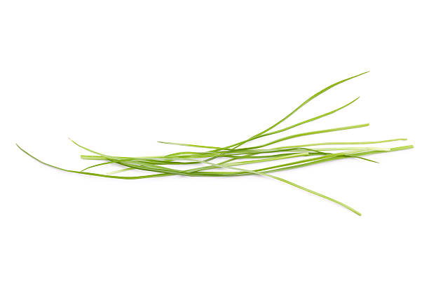 лезвия из траве - травинка стоковые фото и изображения