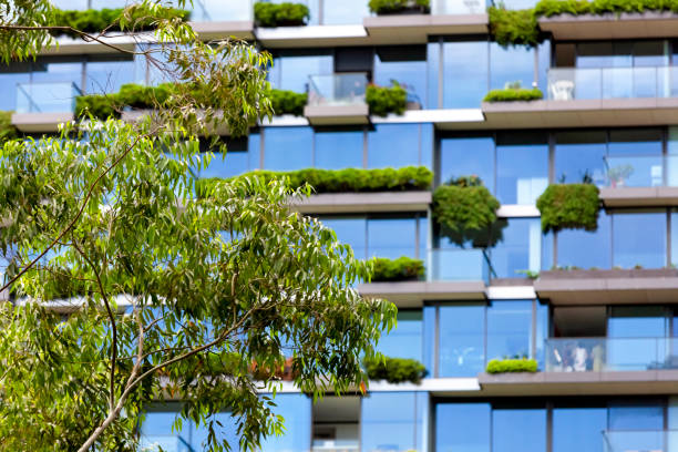 istock Closeup tree front of modern apartment building, background with copy space 1339144674