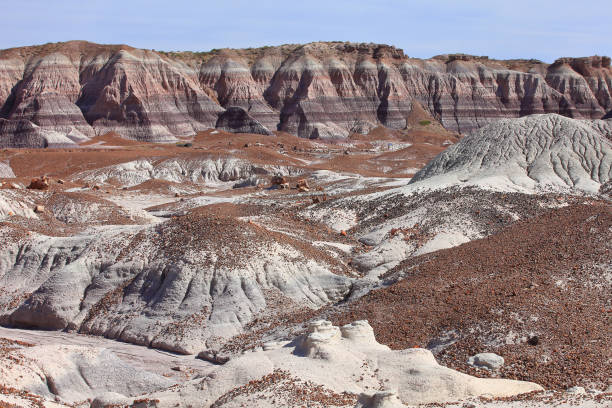 paisagem florestal petrificada - petrified forest national park - fotografias e filmes do acervo