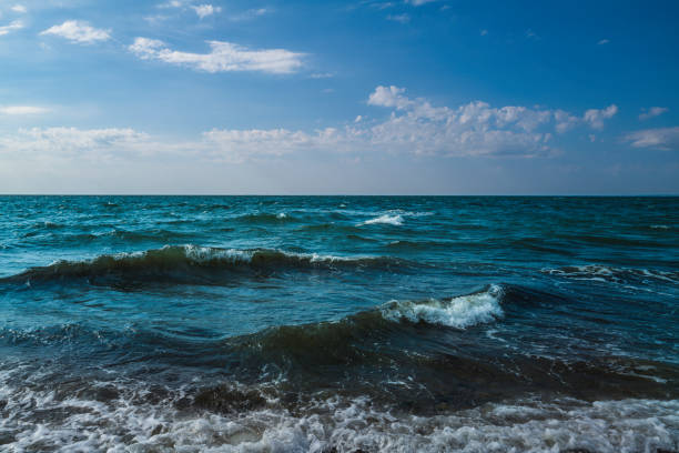 istock Seascape with curved waves rolling in over the beach on a cloudy morning 1339148550