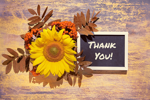 Text Thank You on blackboard. Autumn natural decorations. Yellow sunflower, orange rowan berry with leaves on wooden textured beige background. Flat lay, top view on wood. Thanksgiving decor.