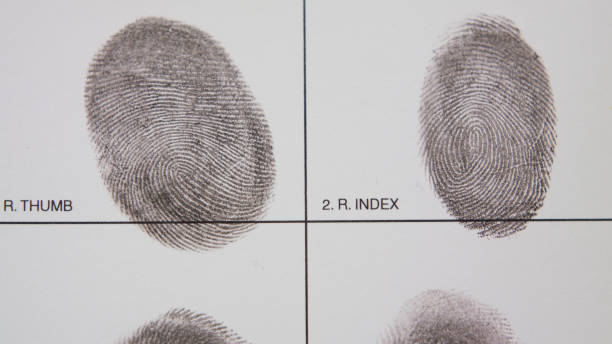 istock filling form macro fingerprint registration finger print form paperwork 1339160175