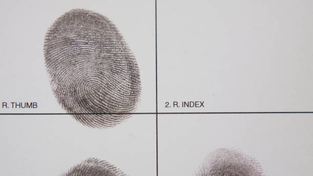 istock filling form macro fingerprint registration finger print form paperwork 1339160192