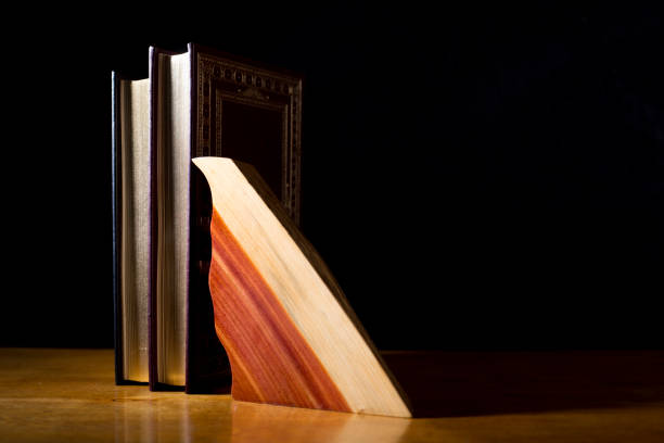 istock Sleek modern artistic sculpture made of Cedar. 1339160794