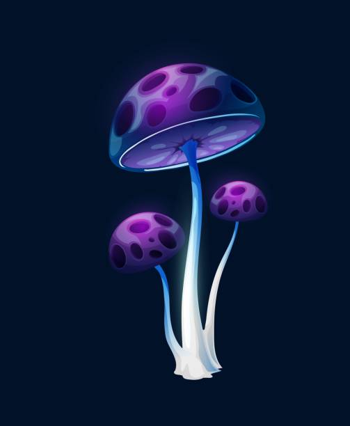 Fantasy magic long purple blue mushrooms Fantasy magic long purple blue mushrooms. Vector alien forest game ui and gui element design. Fairy plant or fantastic fungus with glowing stems and caps with holes, fantasy magic mushroom amanita muscaria stock illustrations