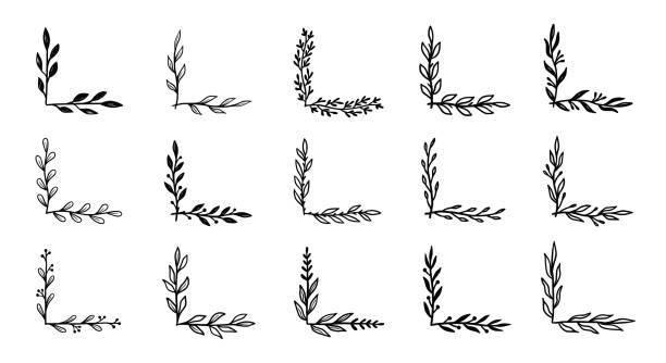 Corner flourish border set. Hand drawn doodle style corner with rustic floral element. Vector illustration border.