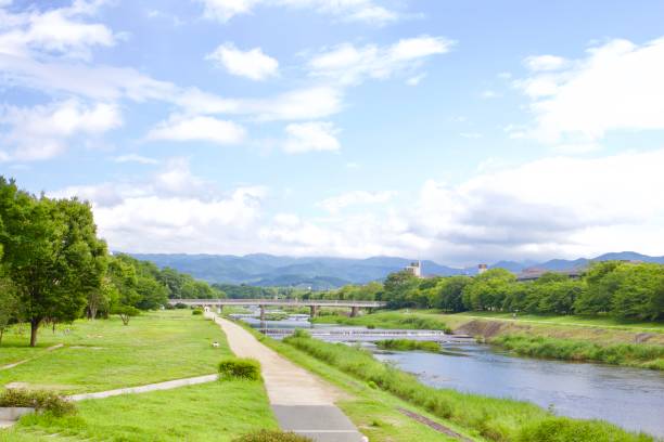 istock Trees rustling by summer wind under the blue sky in public park nearby river, Japan 1339165967