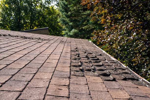 Weathered and Damaged Roof Weathered and Damaged Roof shingles stock pictures, royalty-free photos & images