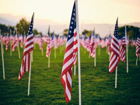 A field full of a large amount of American flags, blowing in the breeze.