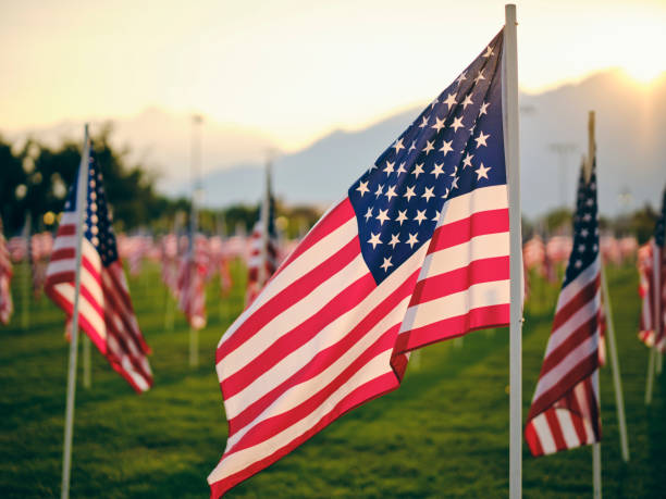 Field of American Flags