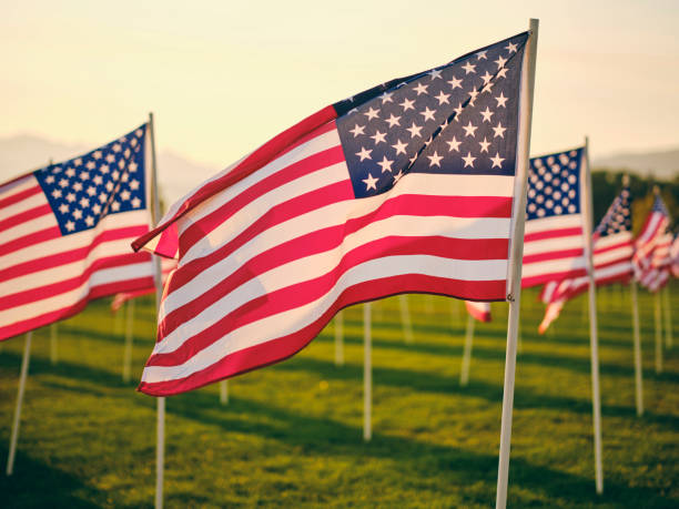 istock Field of American Flags 1339168802