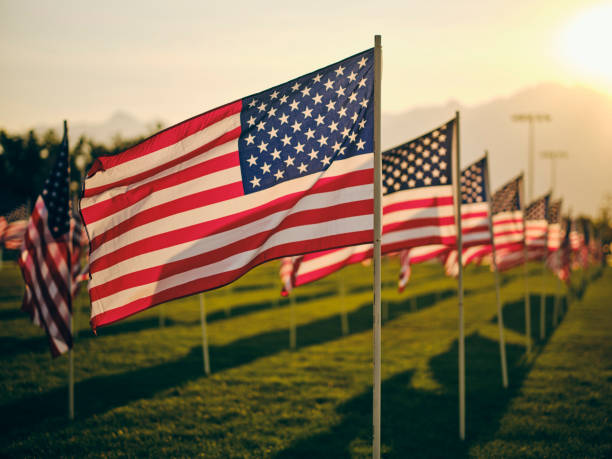 istock Field of American Flags 1339168815