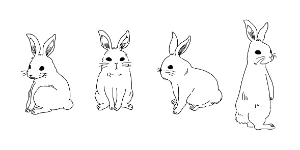 Simple Line Drawing Rabbids A Simple Rabbit With Only Line Drawings Stock Illustration - Download ...