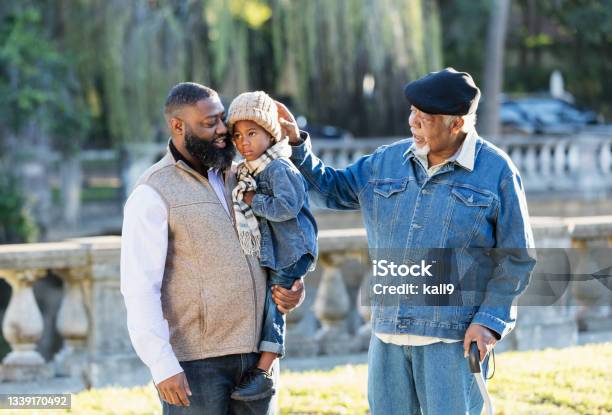 Three Generation Africanamerican Family Walking In Park Stock Photo - Download Image Now