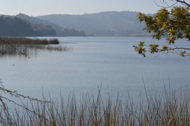 istock Laguna Torca National Reserve 1339176499
