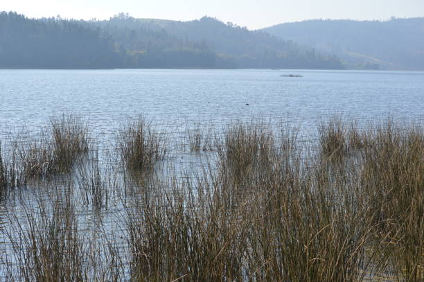 Laguna Torca National Reserve