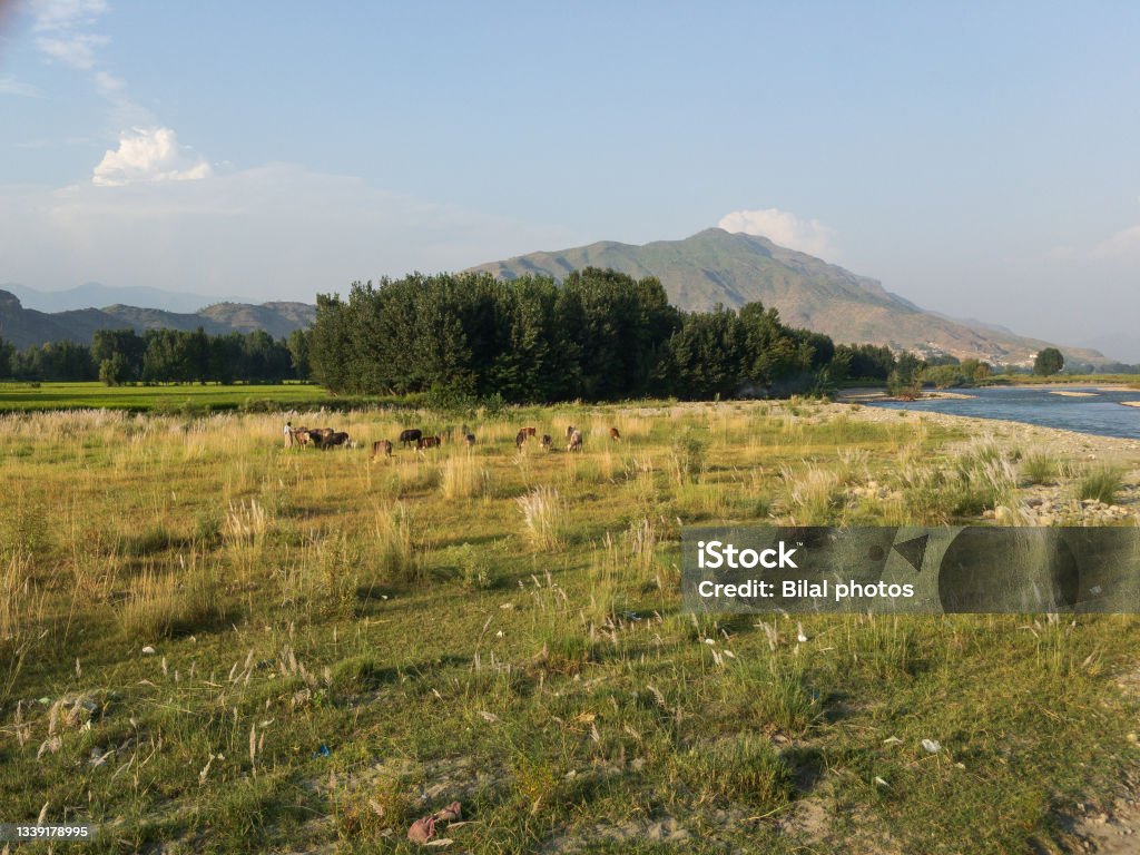 Zarakhela Shamozai Gateway To Swat Valley Beautiful Scenery Stock Photo ...