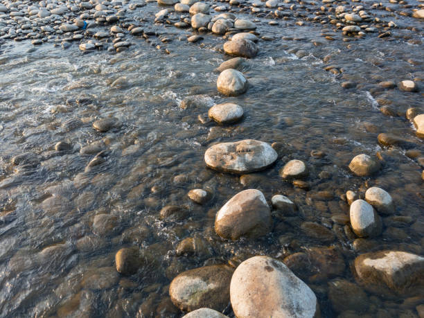 水を渡るための石段 - river crossing ストックフォトと画像