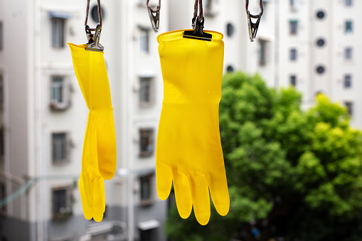 A pair of yellow rubber gloves drying outdoors