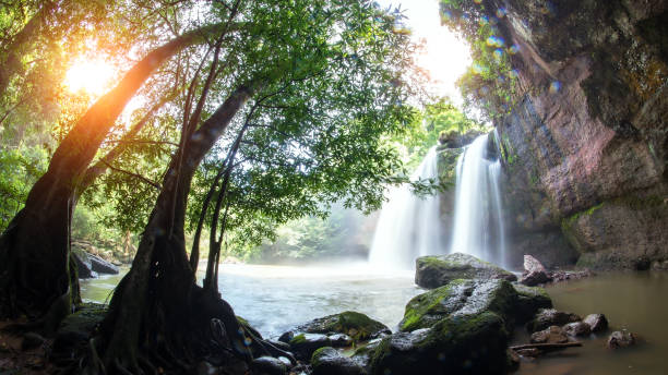 istock Cave in Heo Suwat Waterfall in Khao Yai National Park in Thailand 1339188708