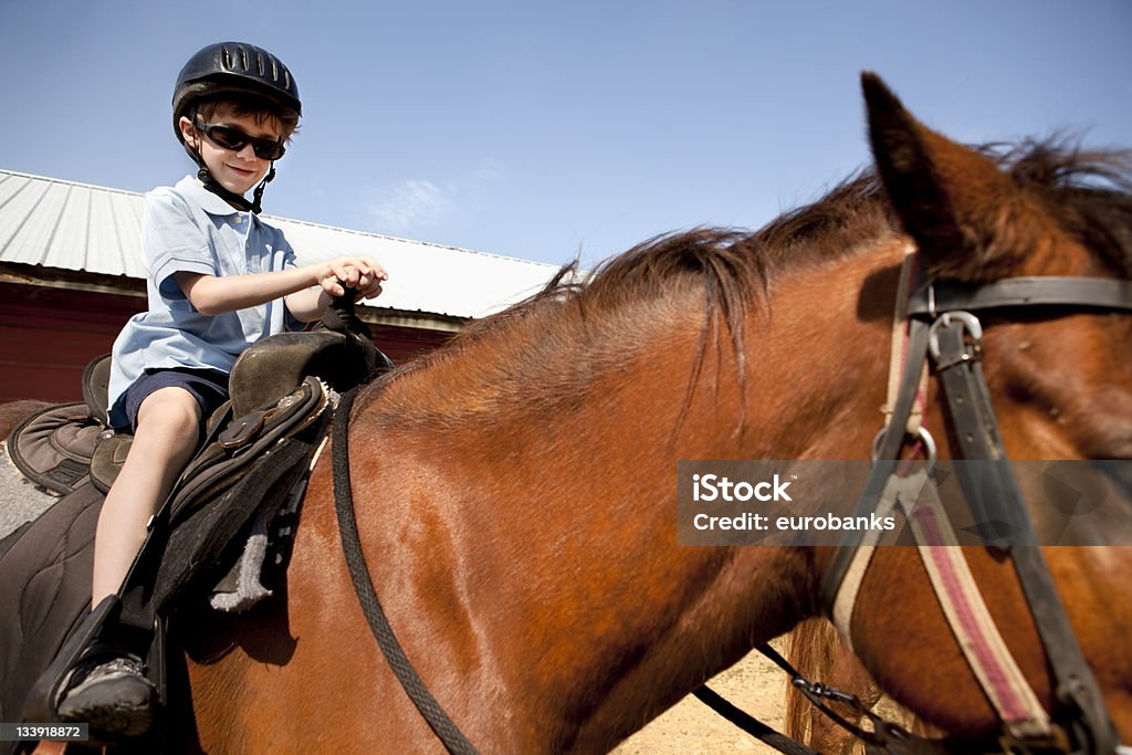 Kleine Junge auf einem Pferd - Lizenzfrei Pferderitt Stock-Foto