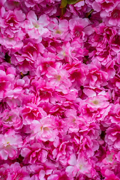 istock Red color roses flower background,. Artificial rose flowers 1339189638