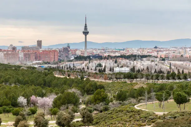 Skyline of Madrid with the communications tower called El Piruli in the foreground and in the cemetery of La Almudena