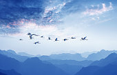 Birds flying against blue cloudy sky background