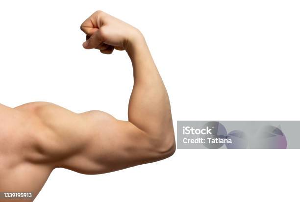 Male Arm With Large Muscles Closeup Isolated On White Background Rear View Stock Photo - Download Image Now