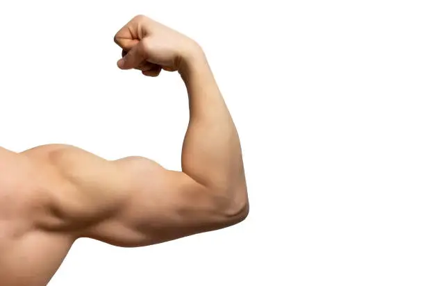 Photo of Male arm with large muscles close-up isolated on white background, rear view.
