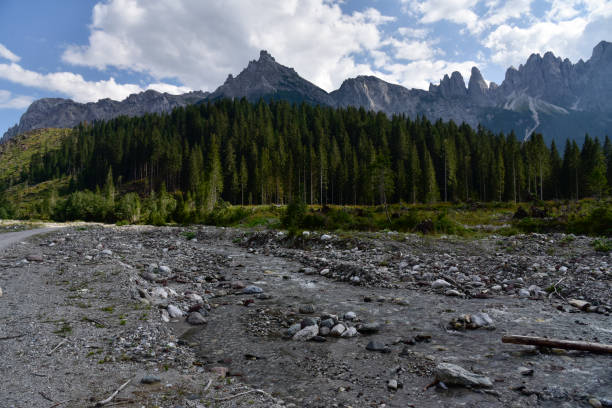 istock Visdende Valley 2 Years after Vaia Storm, Dolomites Mountains Italy 1339196145
