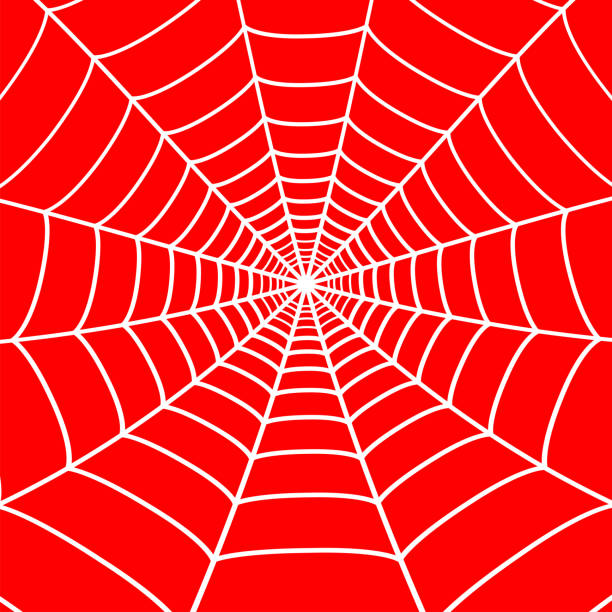 weißes spinnennetz auf rotem hintergrund. spinnennetz. vektor - spinnennetz stock-grafiken, -clipart, -cartoons und -symbole