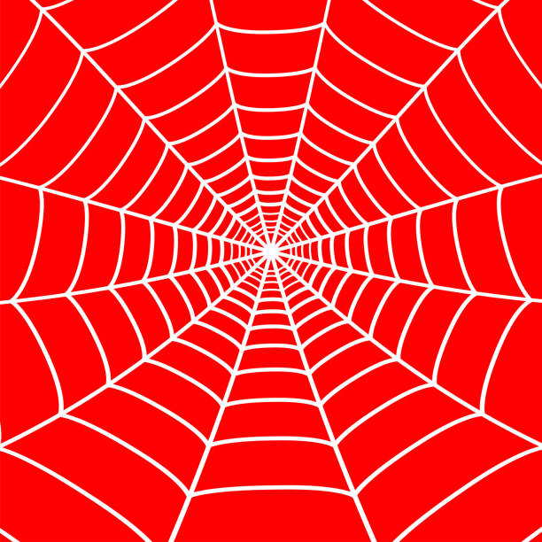 ilustraciones, imágenes clip art, dibujos animados e iconos de stock de telaraña blanca sobre fondo rojo. telaraña. vector - telaraña