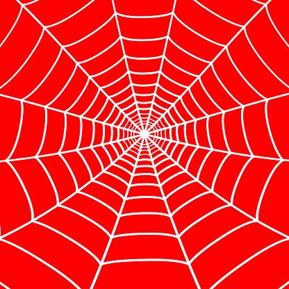 White cobweb on red background. Spider web. Vector.