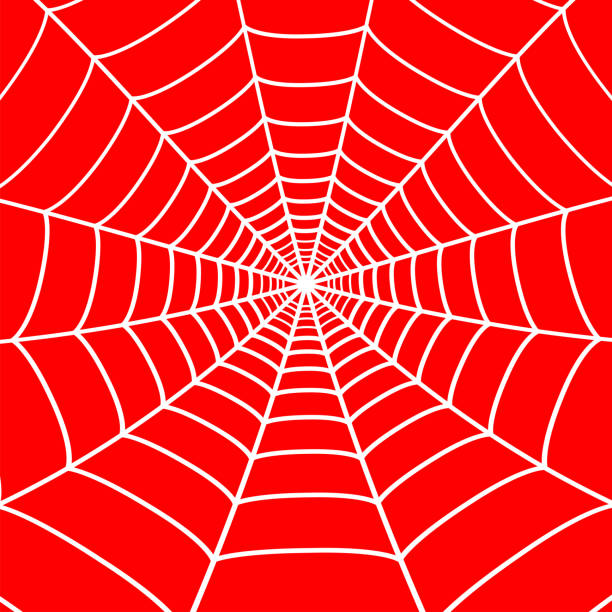 White cobweb on red background. Spider web. Vector White cobweb on red background. Spider web. Vector. white t shirt silhouette stock illustrations