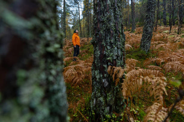 Photo of Woman hiking outdoors in autumnal forest and trees in Norway