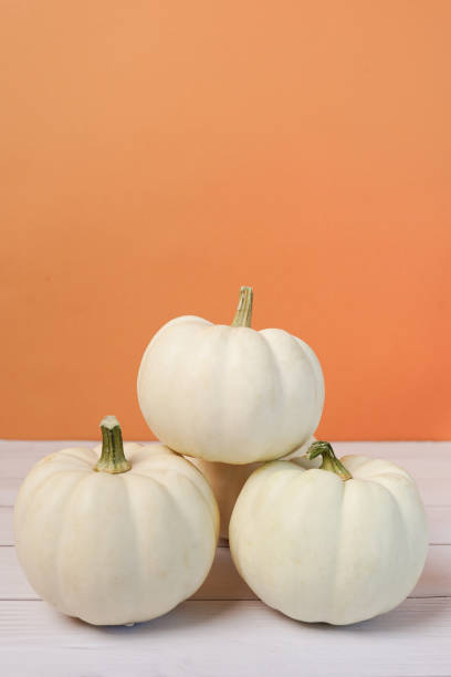 istock Mini white pumpkins on orange background. Copy space. Top view, vertical photo 1339197653