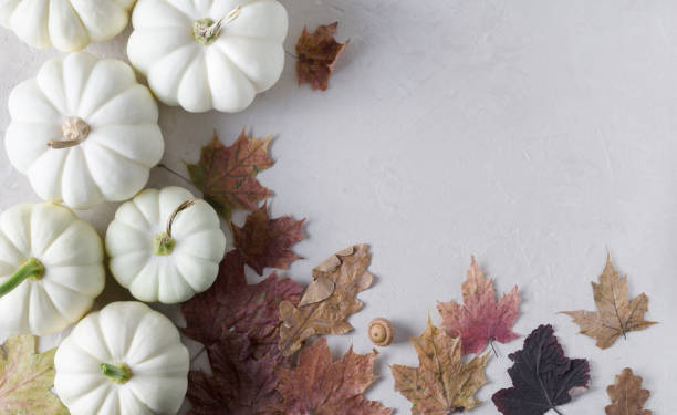 istock White pumpkins with dry leaves on a beige background 1339198465