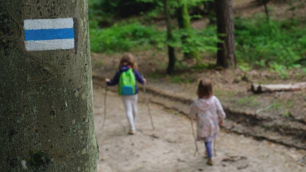 istock Two Young Girls Walking in Forest on Hiking Trail 1339201058