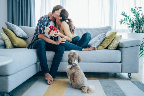 Cheerful young woman receiving a gift from her boyfriend. Shot of a loving husband giving his wife a gift. Boyfriend surprise his beautiful girlfriend with present while she is sitting on the sofa in the living room at home. gift for girlfriend stock pictures, royalty-free photos & images
