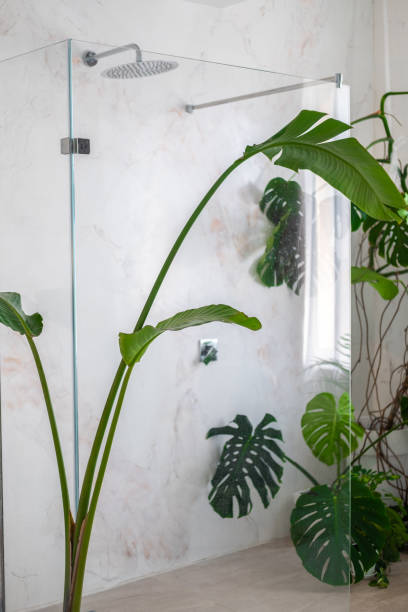 istock modern Loft-style bathroom interior, large indoor plants, concrete walls 1339201346