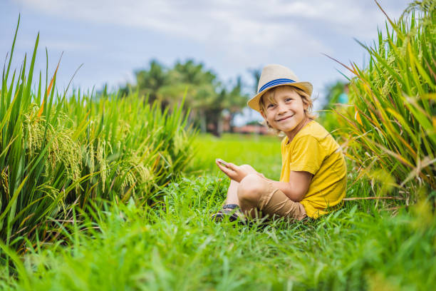 boy playing phone sitting on the green grass, modern children, new technologies, children's dependence on the phone.