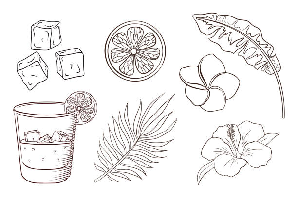 Whiskey and Soda Cocktail, Tropical Flowers and Leaves Coloring Page Whiskey and Soda Cocktail, Tropical Flowers and Leaves Coloring Page. Exotic Plants and blossoms set. Banana, and palm leaves, lemon slice, ice cubes, hibiscus and plumeria flowers. Premium Vector drawing of the hawaii islands stock illustrations