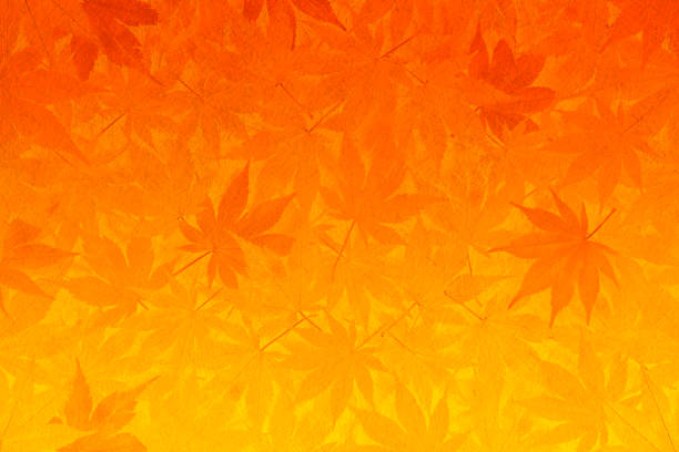 japanisches papier und herbstlaubhintergrund - orange bis gelb abstufung - autumn stock-fotos und bilder