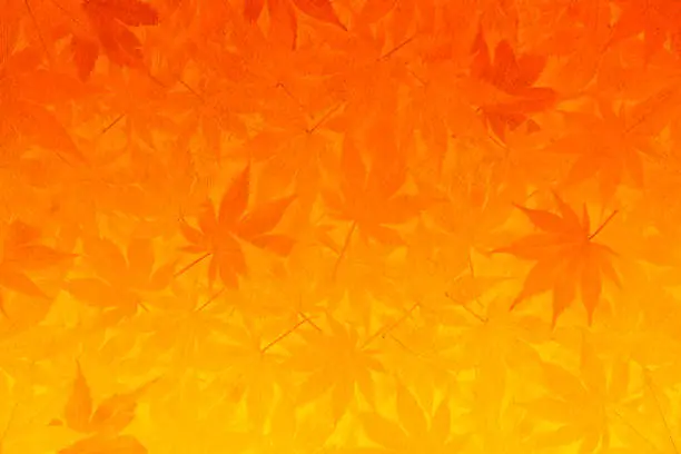 Photo of Japanese paper and Autumn Leaves Background - Orange to Yellow Gradation