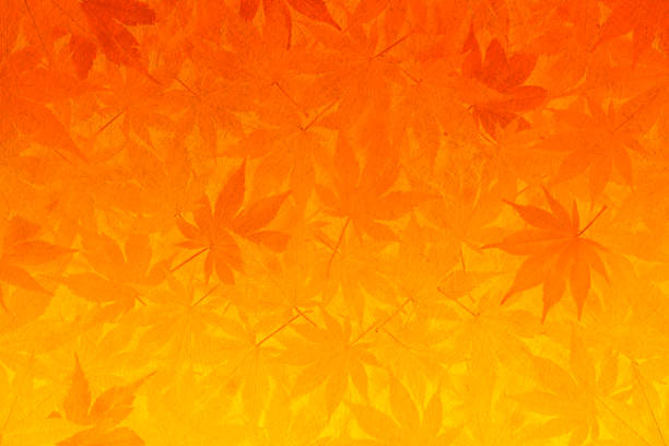 japanese paper and autumn leaves background - orange to yellow gradation - leaf paper autumn textured imagens e fotografias de stock