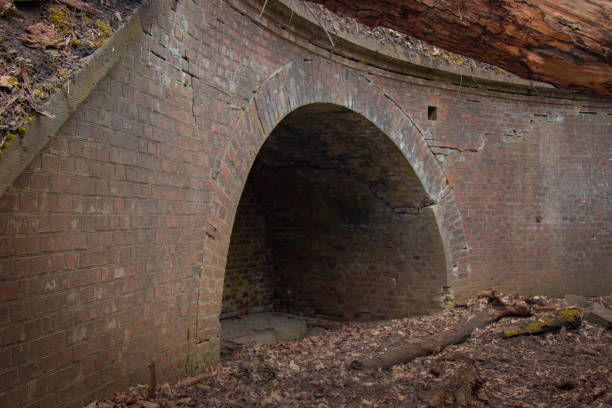 Abandoned fort number 8 