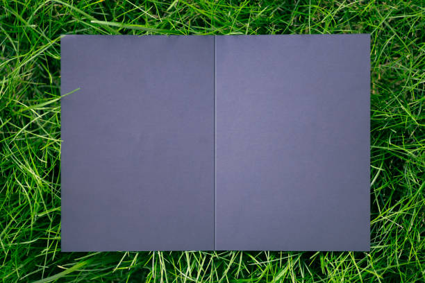 istock Top view of square frame, creative layout of green grass lawn with black open postcard and shadows from the sun. Form for the invitation card 1339210055