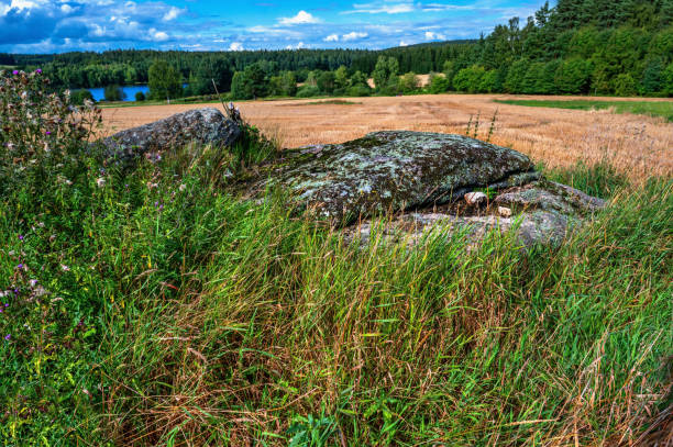 istock Rock boulder in meadow, field, forest and pond, Blato. 1339210729