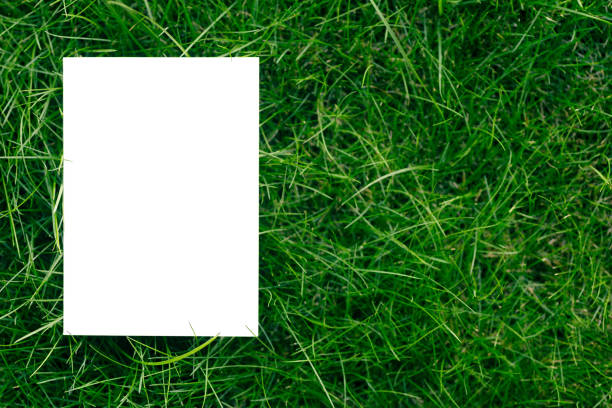 blank paper calendar page on white wooden table on nature green field grass with sunlight background